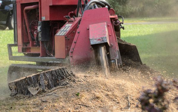 Huntsville Tree Removal